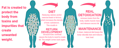 【Only 8 left!】 🛒 Get an extra 30% off now! 🎉Tested by weight loss experts, alternating 4-6 pairs will help you achieve your ideal shape. 🎁Don’t miss out—this offer won’t be back for another year! Grab this limited-time deal now! 🎉